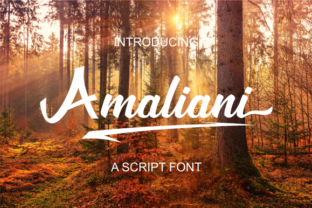 Amaliani: A Handwritten Font for Editorial Impact