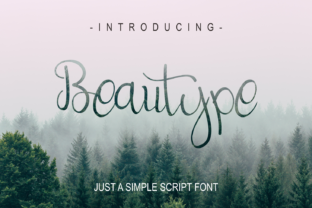 Beautype Font Review: Elevating Web Design with Elegance