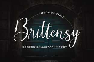 Brittensy: A Designer's Honest Review for Branding