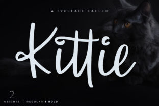 How the Kittie Typeface Transforms Small Business Branding