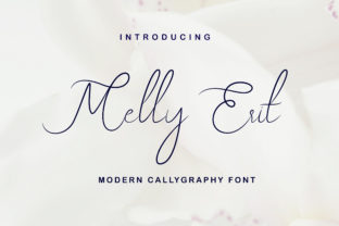 Melly Eret: A Modern Script Typeface for Web Design