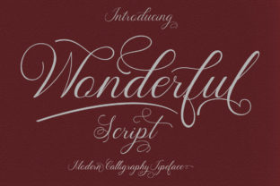 Wonderful: A Modern Script Font for Your Brand Identity